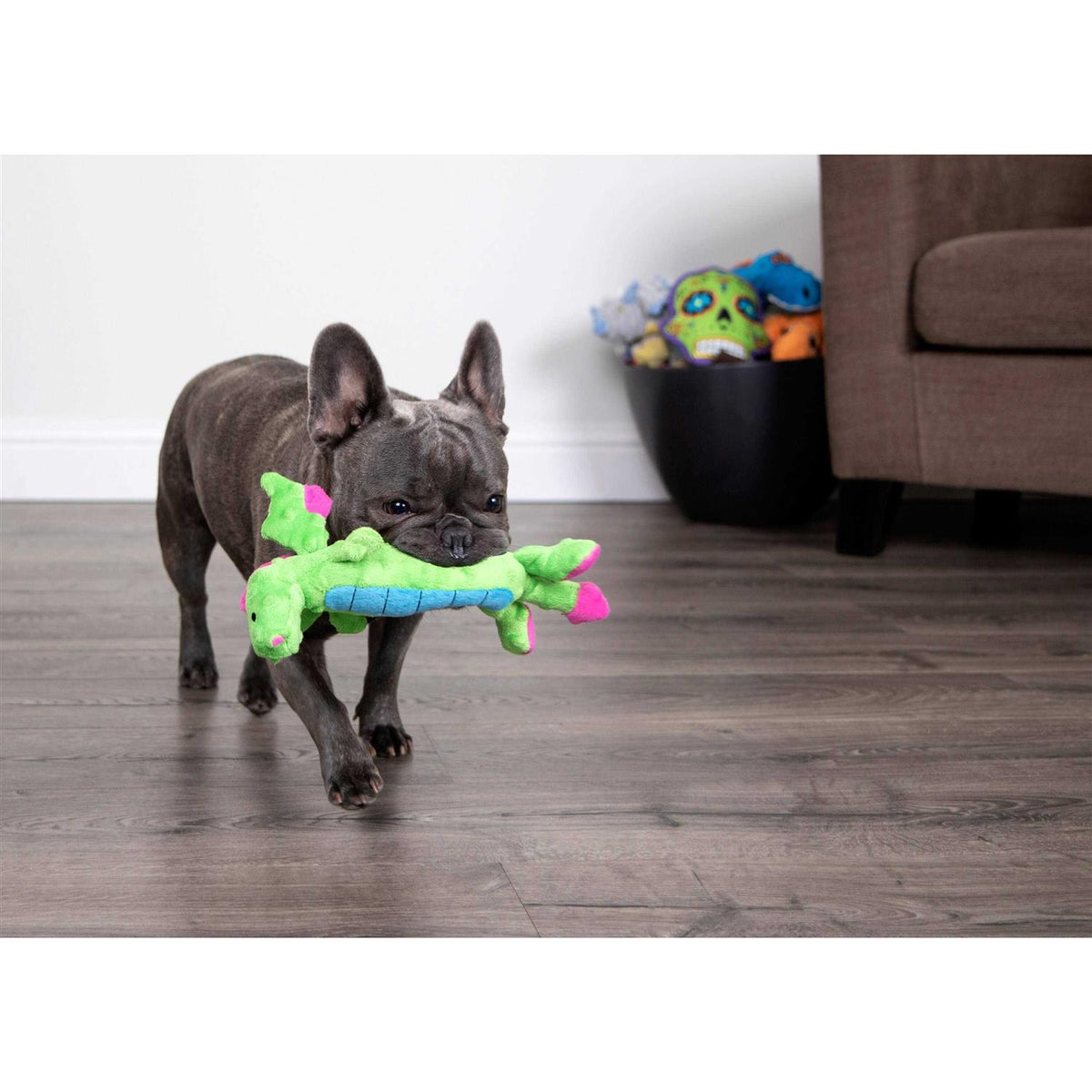 Skinny Chew Guard Dog Toy M906