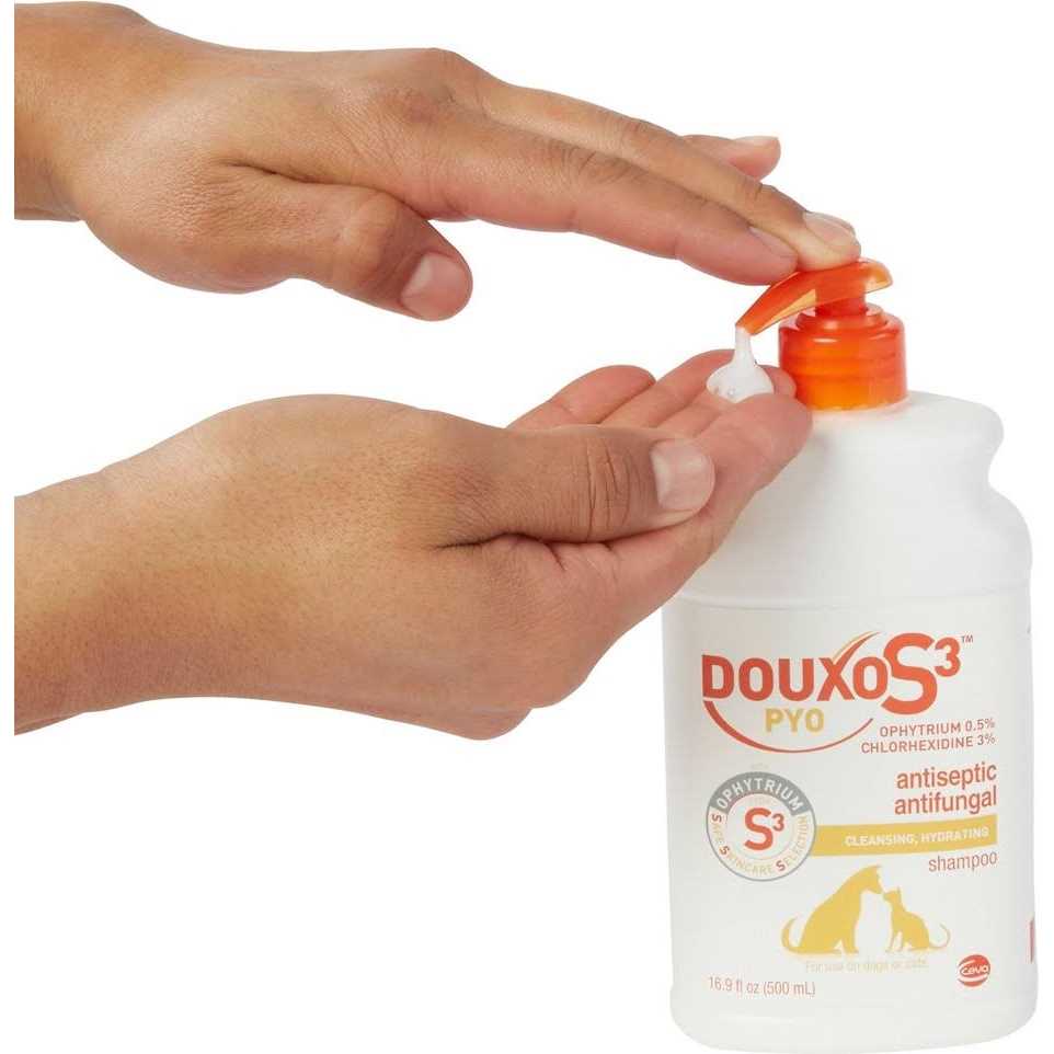 Shampoo 16.9 oz Q38680