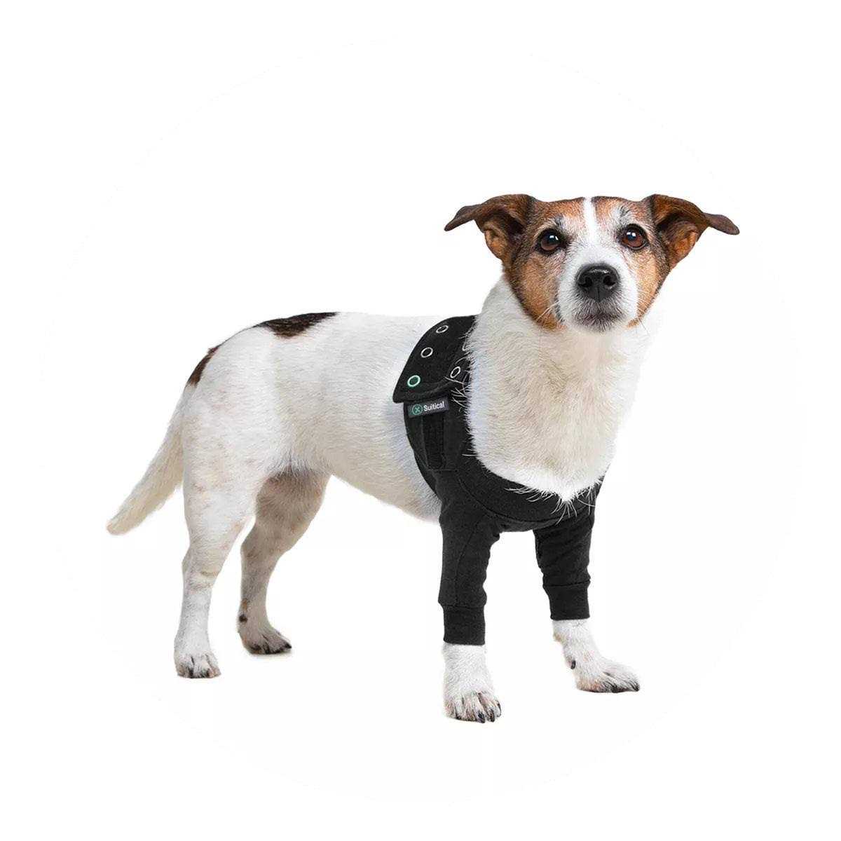 Dog Recovery Sleeves K24261