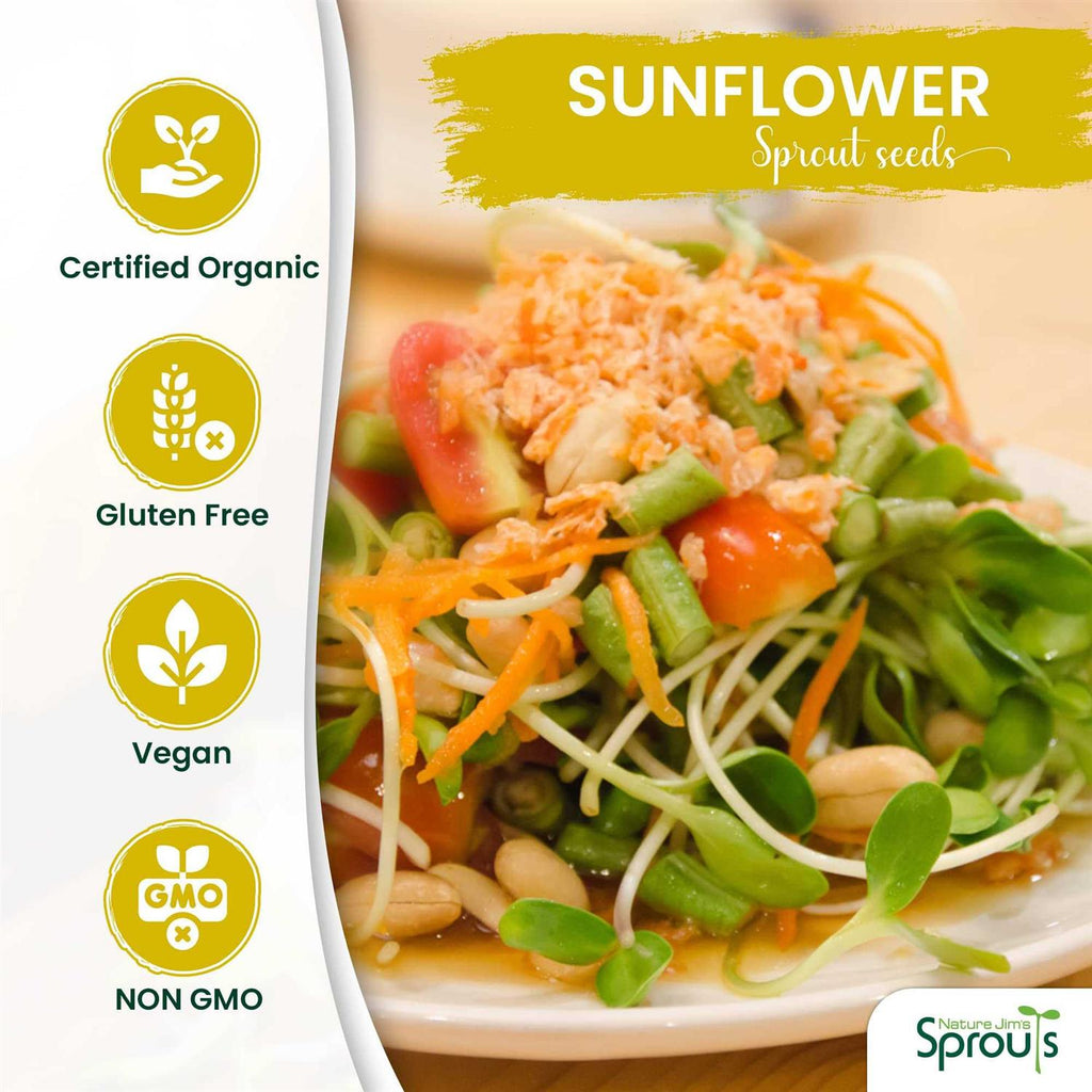 Certified Organic Black Oil Sunflower Seeds J78628