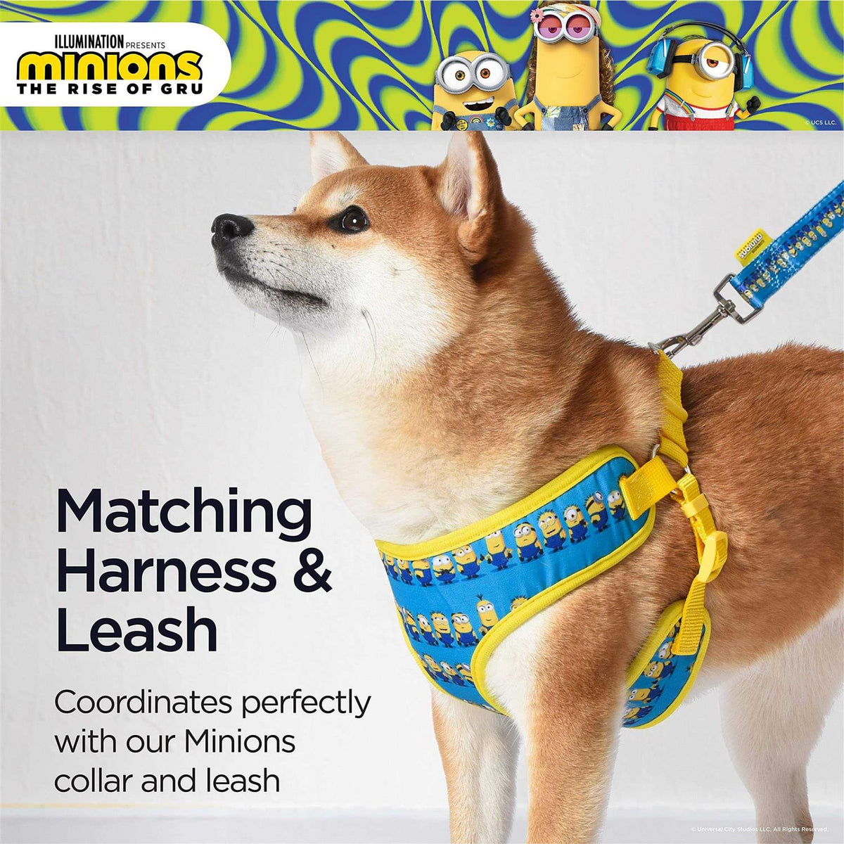 Blue Mesh No-Pull Dog Harness S461