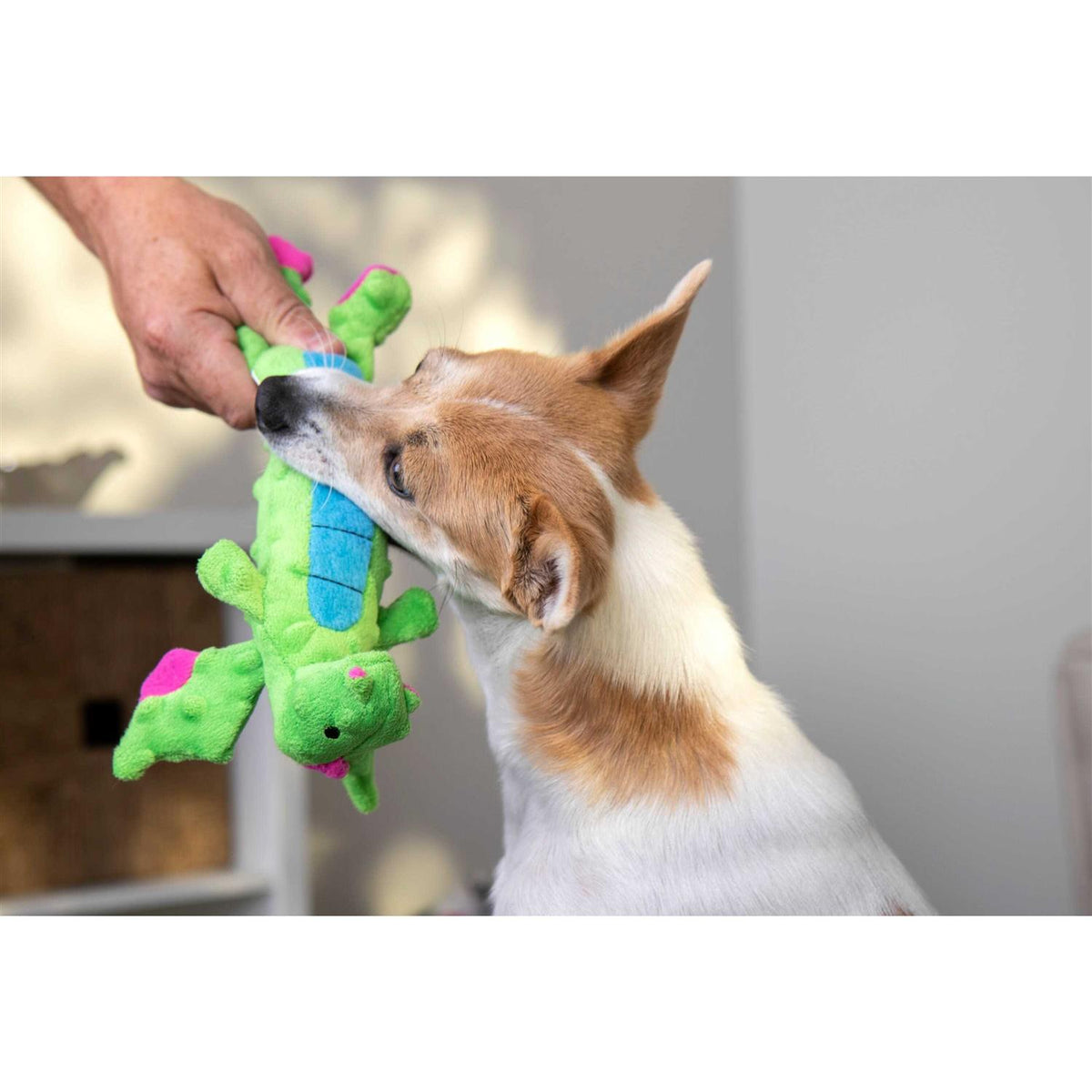 Skinny Chew Guard Dog Toy M906