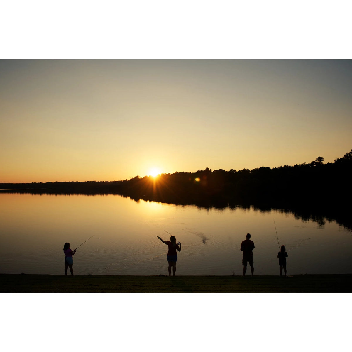 Casting Rod I39857