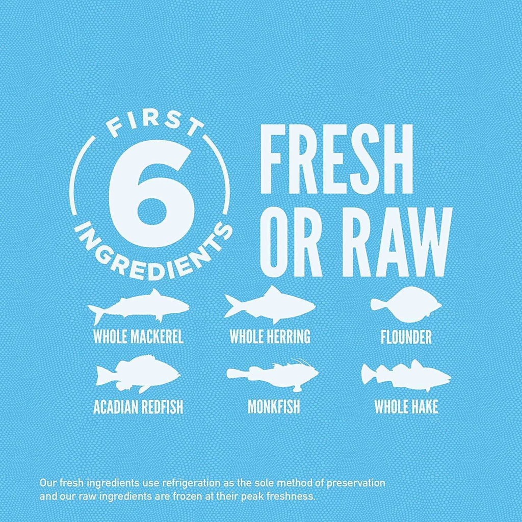 Six Fish Cat Dry Food R327513