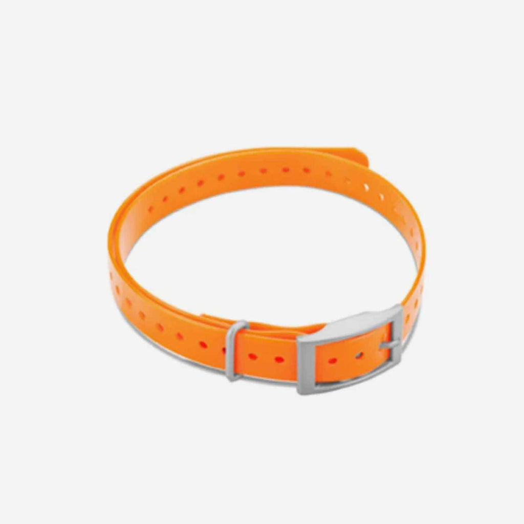 Collar Strap Y811