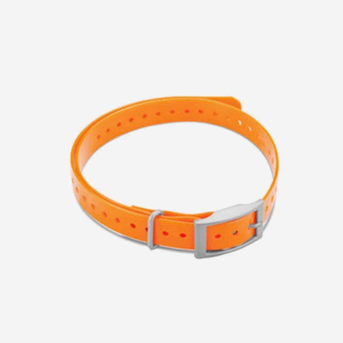 Collar Strap Y811