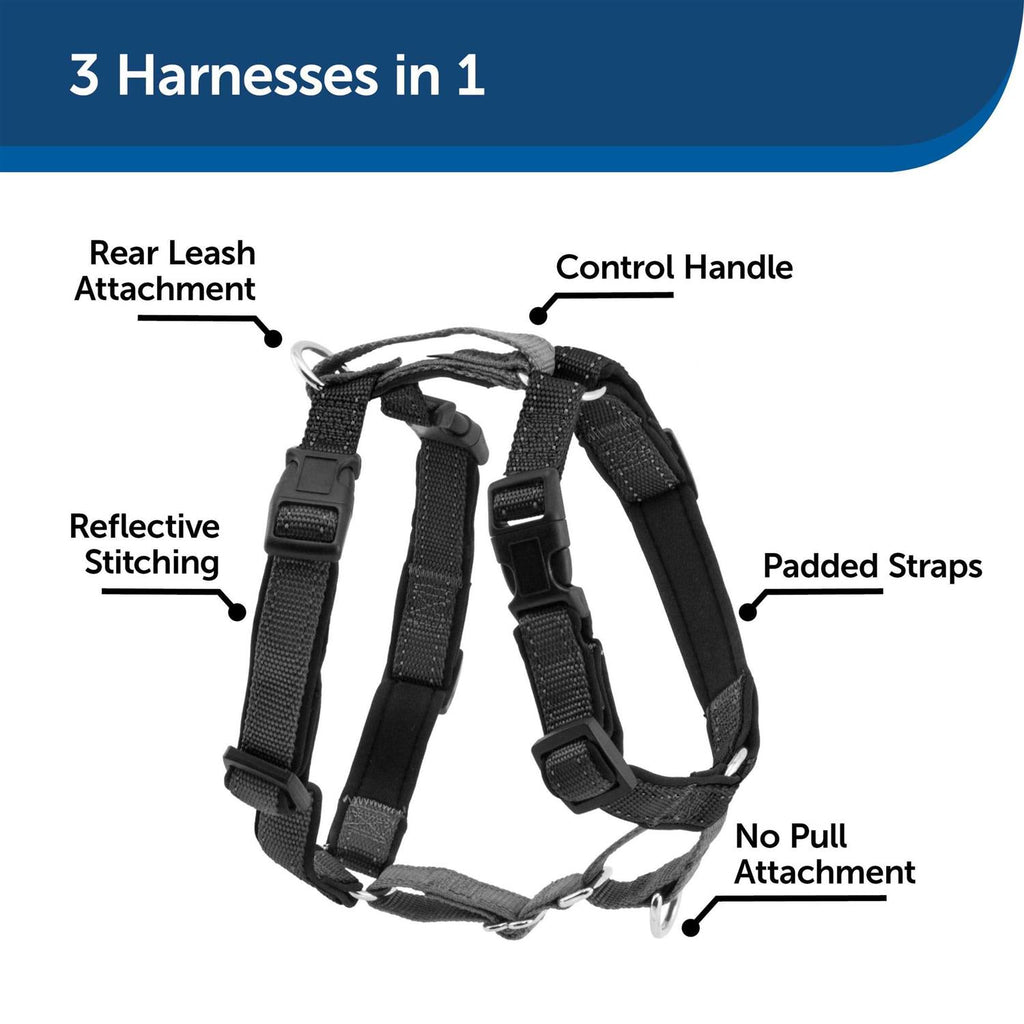 3 in 1 Harness with Leash D382966