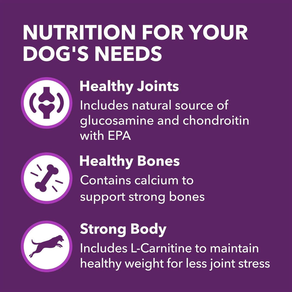 Chicken & Whole Grain Recipe Adult Dry Dog Food B955006