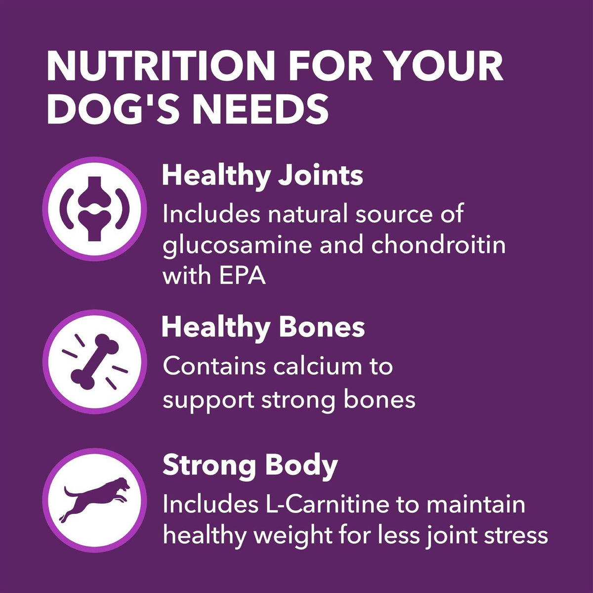 Chicken & Whole Grain Recipe Adult Dry Dog Food B955006