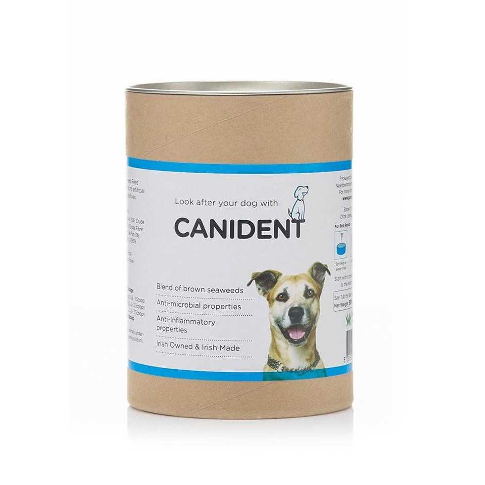 Clean Dogs Teeth N255610