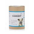 Clean Dogs Teeth N255610