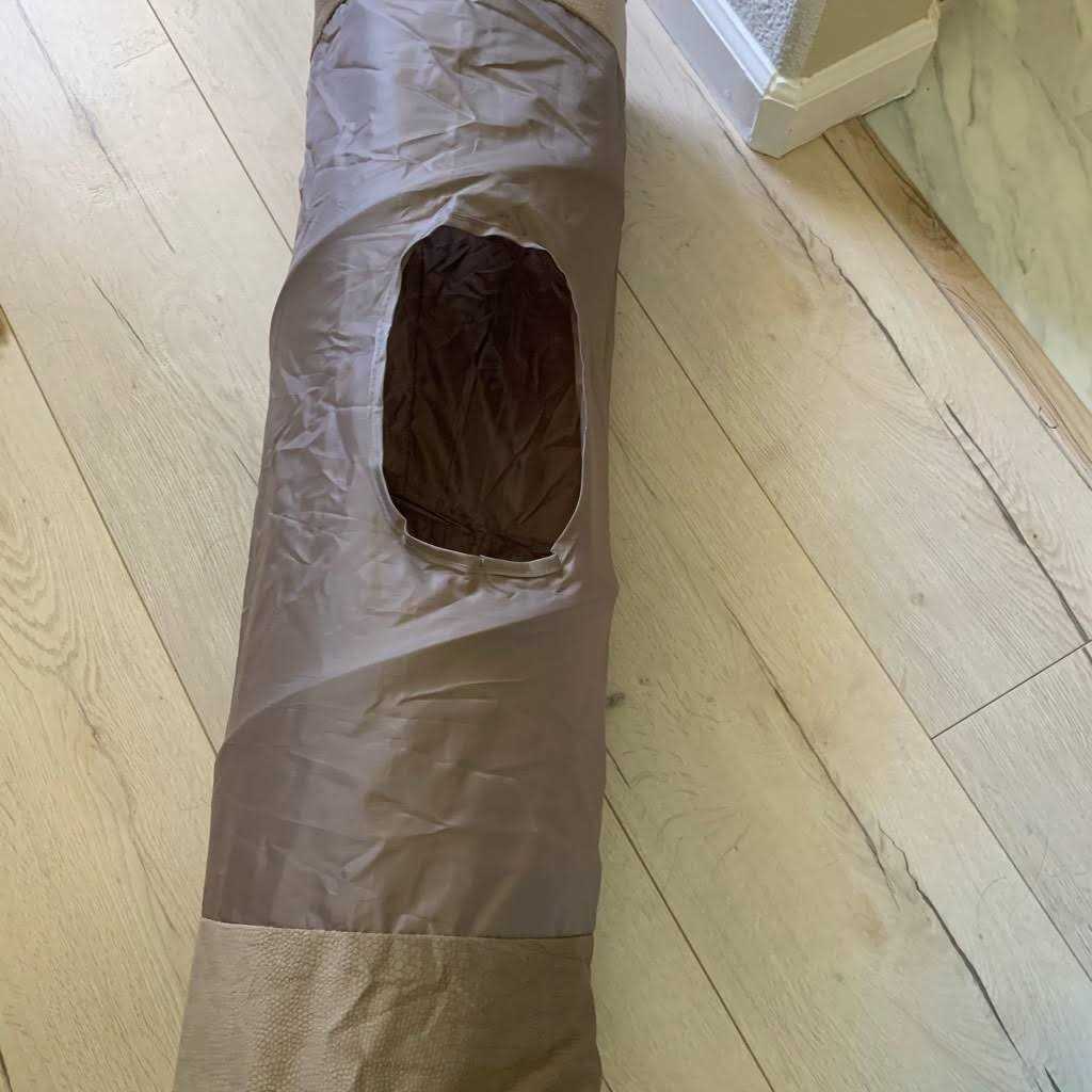 Cat Tunnel R567525