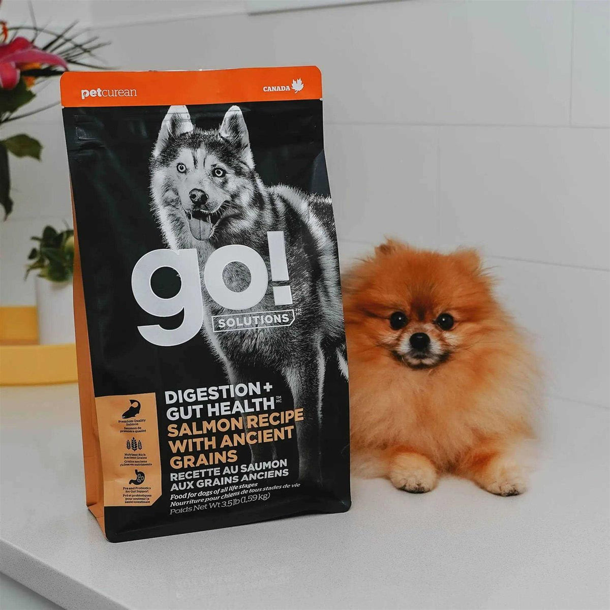 Salmon Recipe with Ancient Grains Dog Food O196