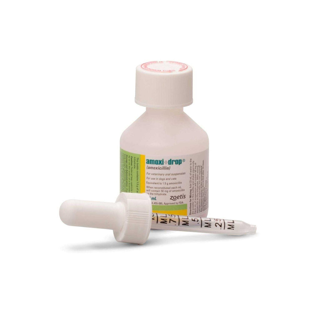 Oral Suspension 30ML W67255