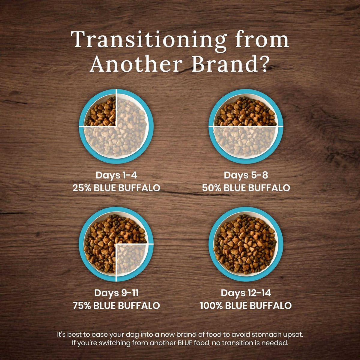 Dog Food U923860