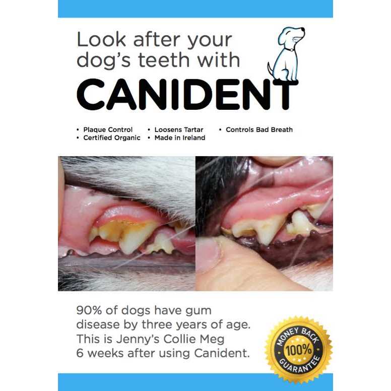 Clean Dogs Teeth N255610